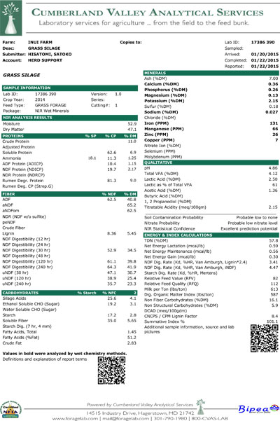 CVAS-Standard